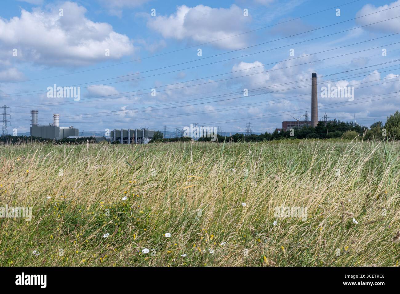Vue de la réserve naturelle des zones humides RSPB Newport en été avec la centrale électrique de Severn en arrière-plan, pays de Galles du Sud, Royaume-Uni Banque D'Images