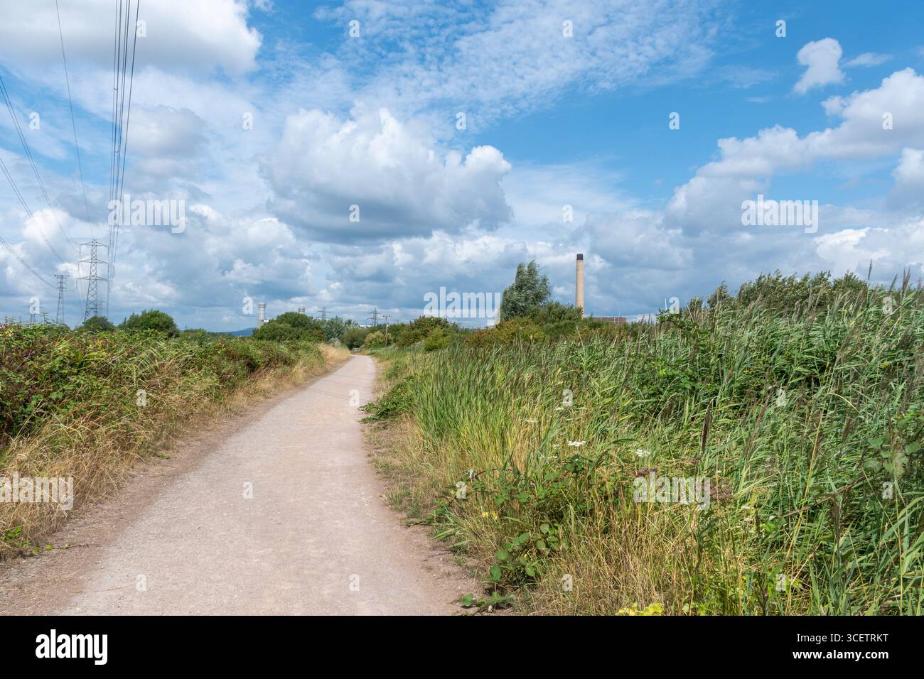 Vue de la réserve naturelle des zones humides RSPB Newport en été avec la centrale électrique de Severn en arrière-plan, pays de Galles du Sud, Royaume-Uni Banque D'Images