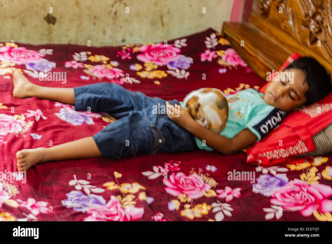 Amitié adorable entre l'enfant endormi et le chat recourbé sur le drap de lit coloré à motifs floraux Banque D'Images