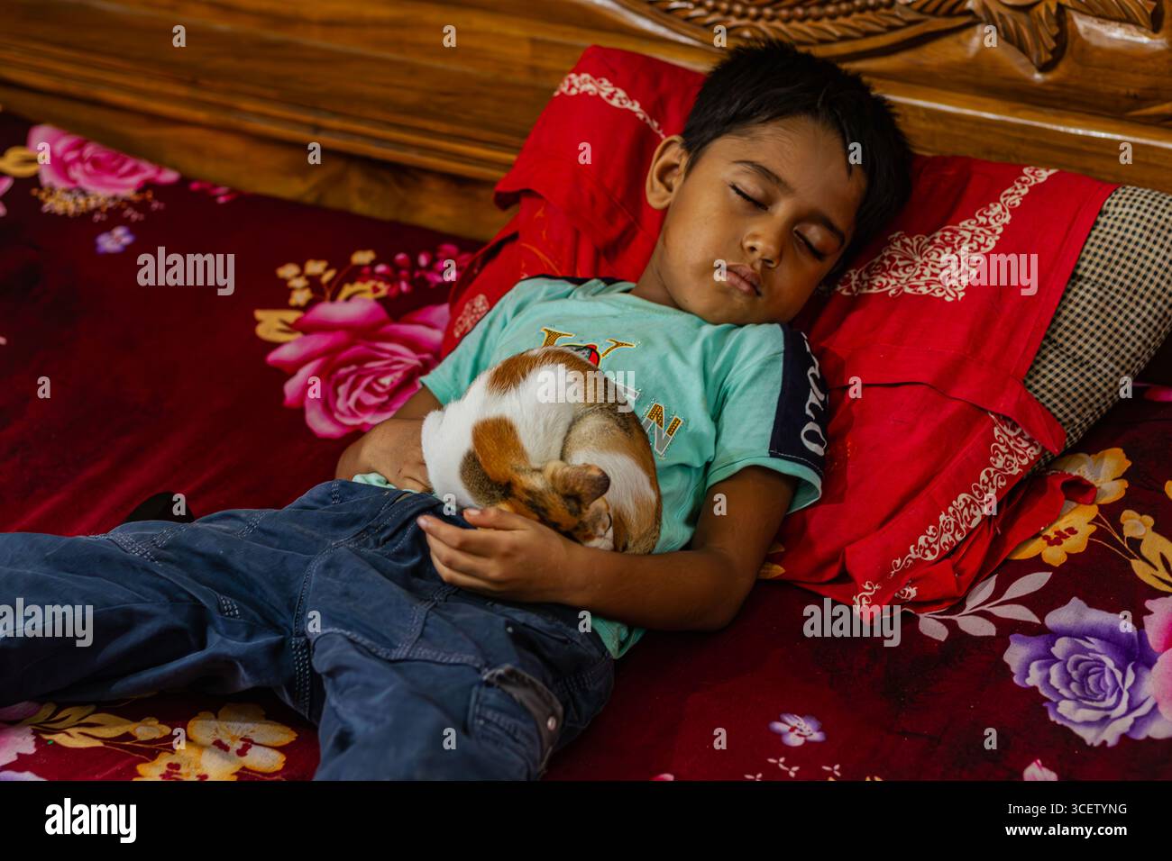 Garçon tranquille endormi tenant un chat blanc gingembre frisé près sur un oreiller rouge vif à l'intérieur Banque D'Images
