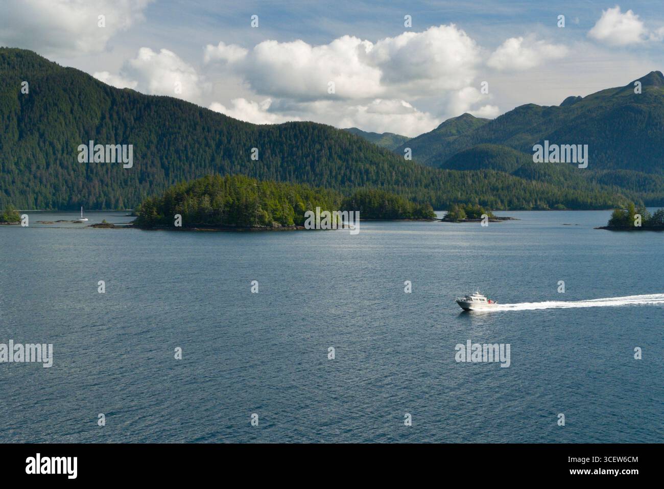 Vue de la forêt nationale de Tongass à partir de la Manche orientale de la baie Sitka, Alaska, USA Banque D'Images