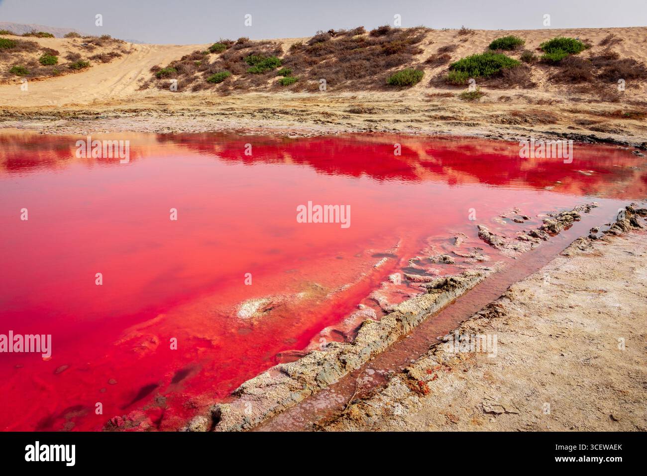Le lac rose sur l'île de Saraya à Al Rams, Ras Al Khaimah, eau, vue rapprochée de la surface d'eau rouge cristalline de l'étang avec des pas dans le sable et Banque D'Images