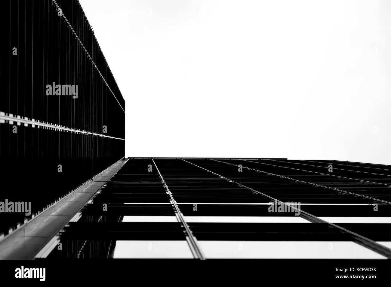 Façade en verre propre avec de fines lignes de grille qui s'estompent vers le ciel lumineux, vue à angle bas à Amsterdam, pays-Bas, mettant l'accent sur le rythme et l'espace négatif. Banque D'Images