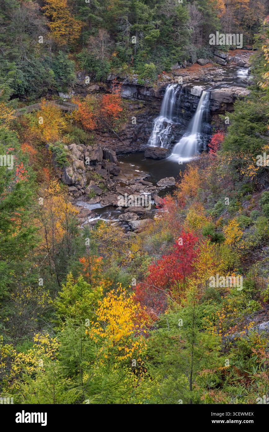 Blackwater Falls en automne, Blackwater Falls State Park, Virginie-occidentale Banque D'Images