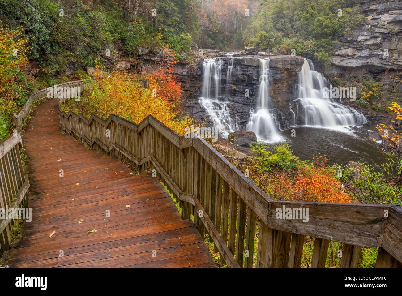 Escalier sur le sentier vers Blackwater Falls en automne, Blackwater Falls State Park, Virginie occidentale Banque D'Images