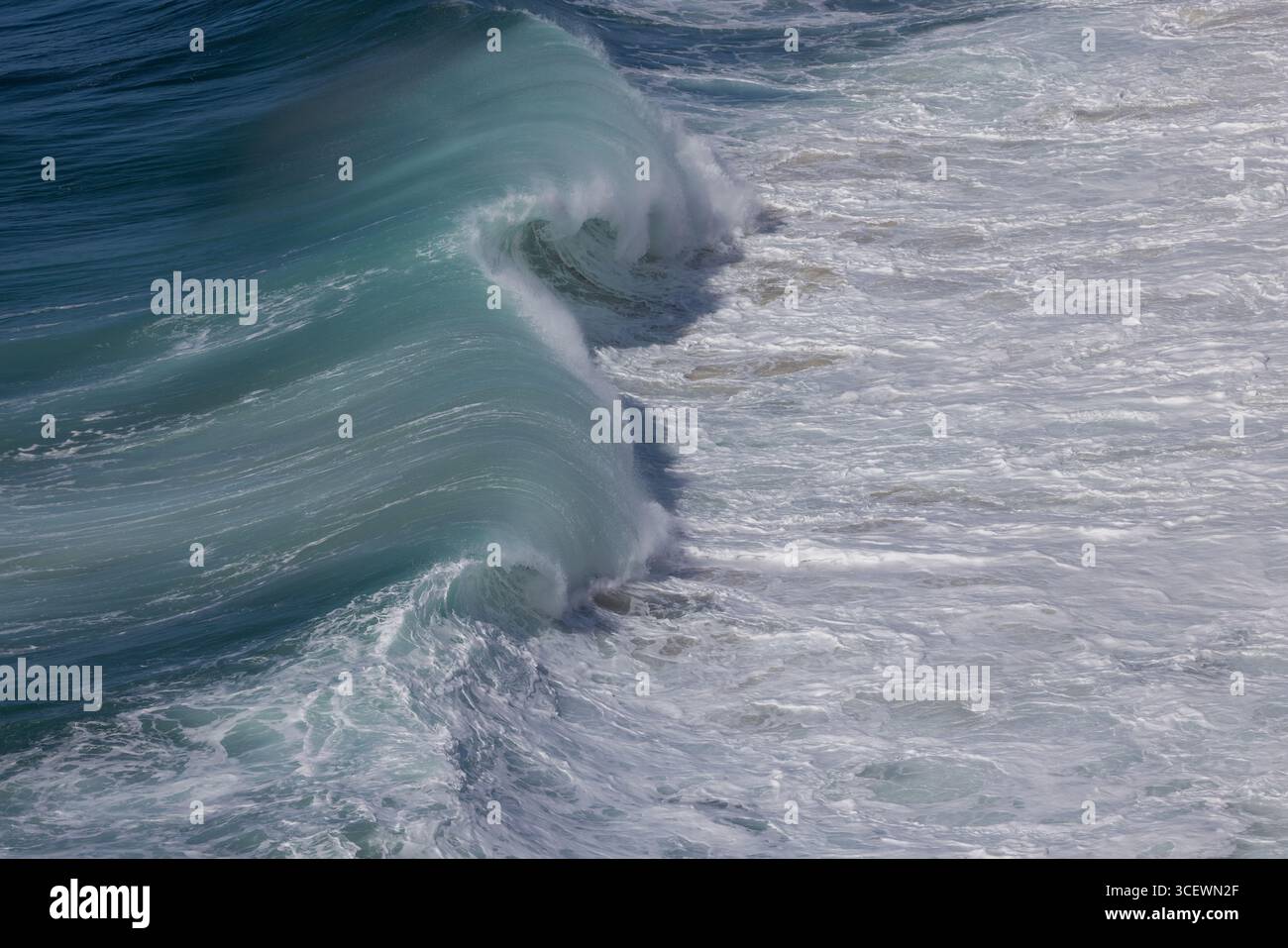 Brise la vague balayée par le vent le long de la côte à Praia do Norte (North Beach) vu depuis Fort de São Miguel Arcanjo, Nazaré, Portugal Banque D'Images