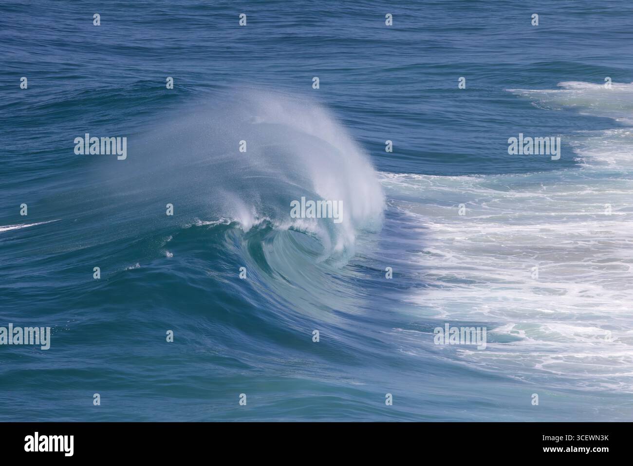 Brise la vague balayée par le vent le long de la côte à Praia do Norte (North Beach) vu depuis Fort de São Miguel Arcanjo, Nazaré, Portugal Banque D'Images