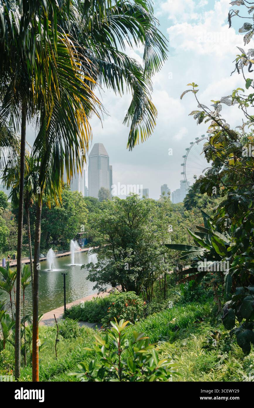 Jardins près de la baie vue sur la jungle à Singapour Banque D'Images