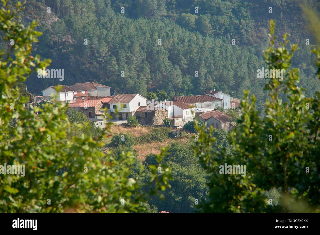 Un petit village galicien perché sur une colline entourée de montagnes couvertes d'une végétation luxuriante, ses maisons blanches et ses toits rougeâtres se détachent. Banque D'Images