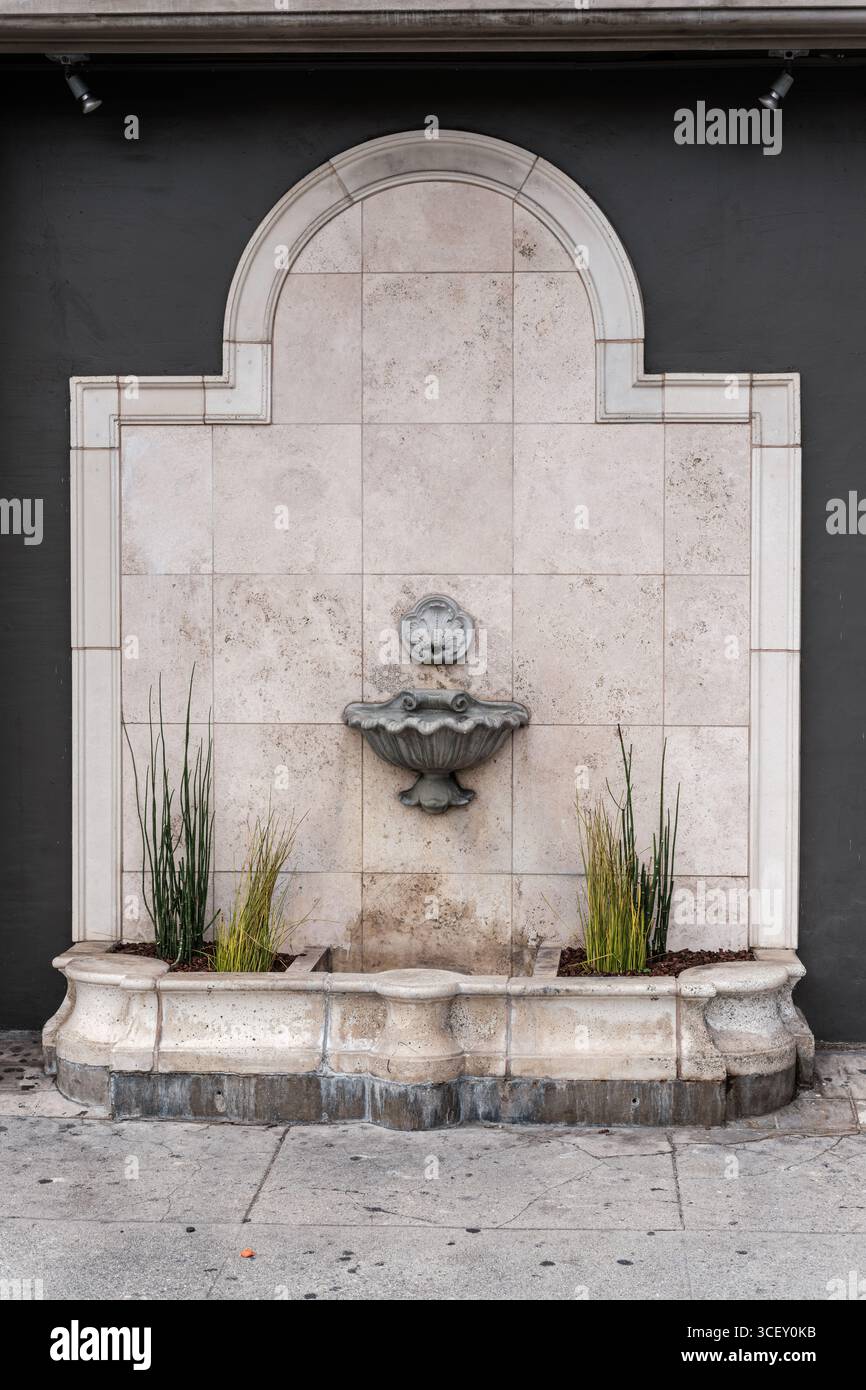 Vue d'une fontaine en pierre ornée avec une tête de lion jaillissant de l'eau, flanquée de fines plantes vertes contre un mur sombre, Los Angeles, Californie, États-Unis. Banque D'Images