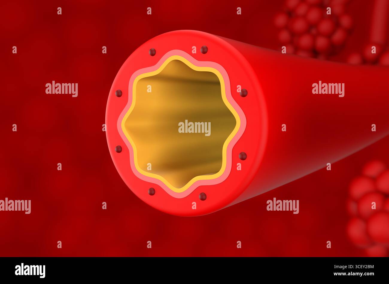 Tube bronchique normal dans le poumon - vue rapprochée illustration 3D. Banque D'Images