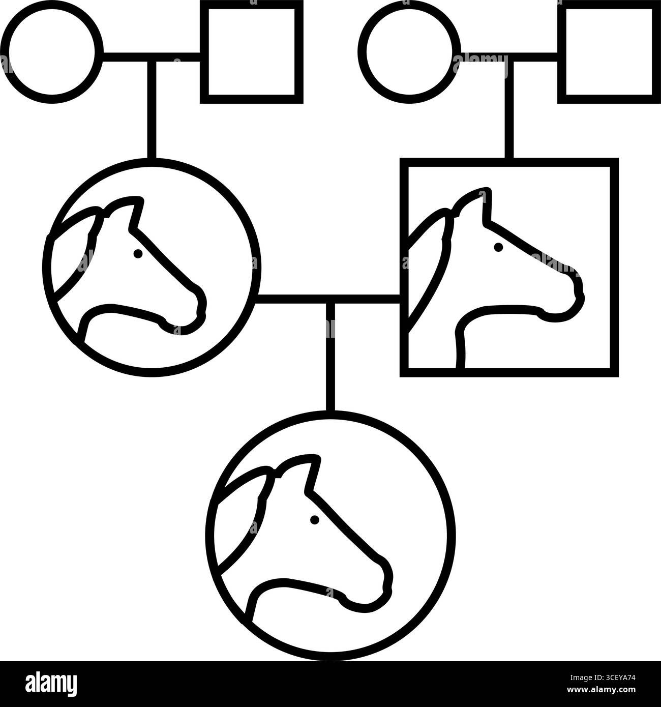 illustration vectorielle d'icône de ligne d'élevage de cheval de tableau de pedigree Illustration de Vecteur