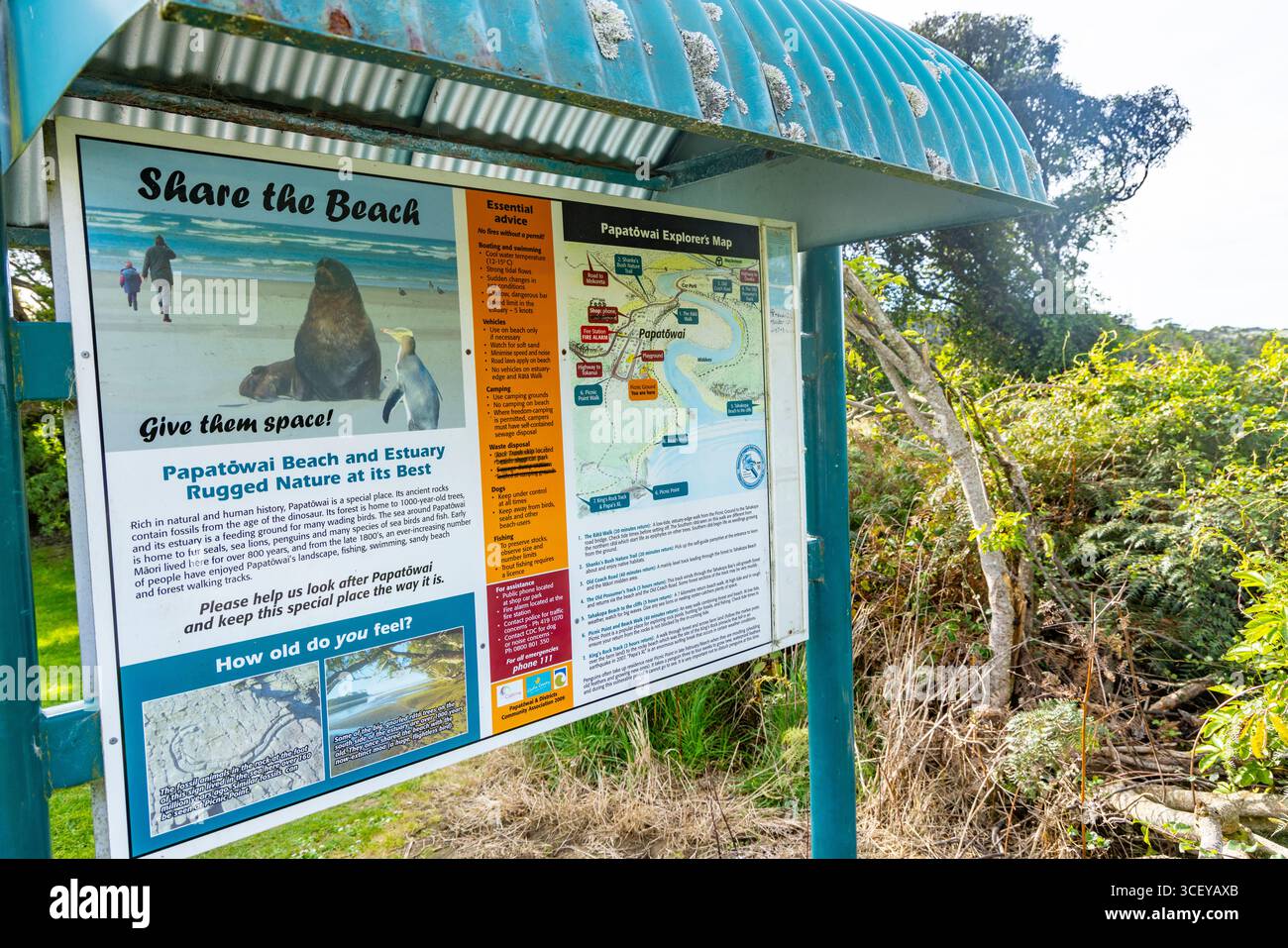 La région de Catlins de l'île du Sud de la Nouvelle-Zélande, Papatowai Beach est située sur la côte Pacifique près de la rivière Tahakopa et de la baie océanique Banque D'Images
