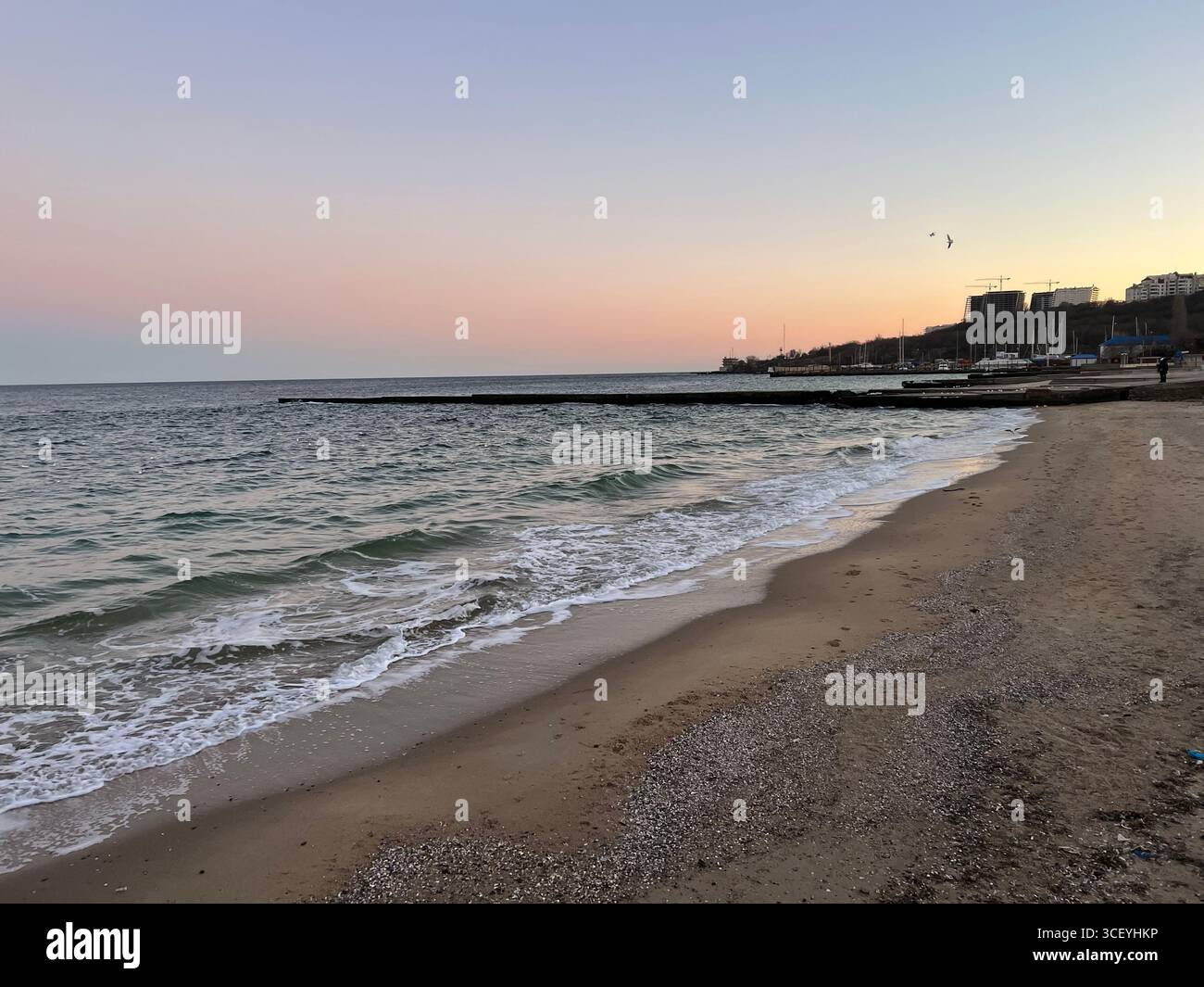 Un doux coucher de soleil rose sur la plage de la mer Noire, s'étendant du ciel rose au ciel bleu Banque D'Images