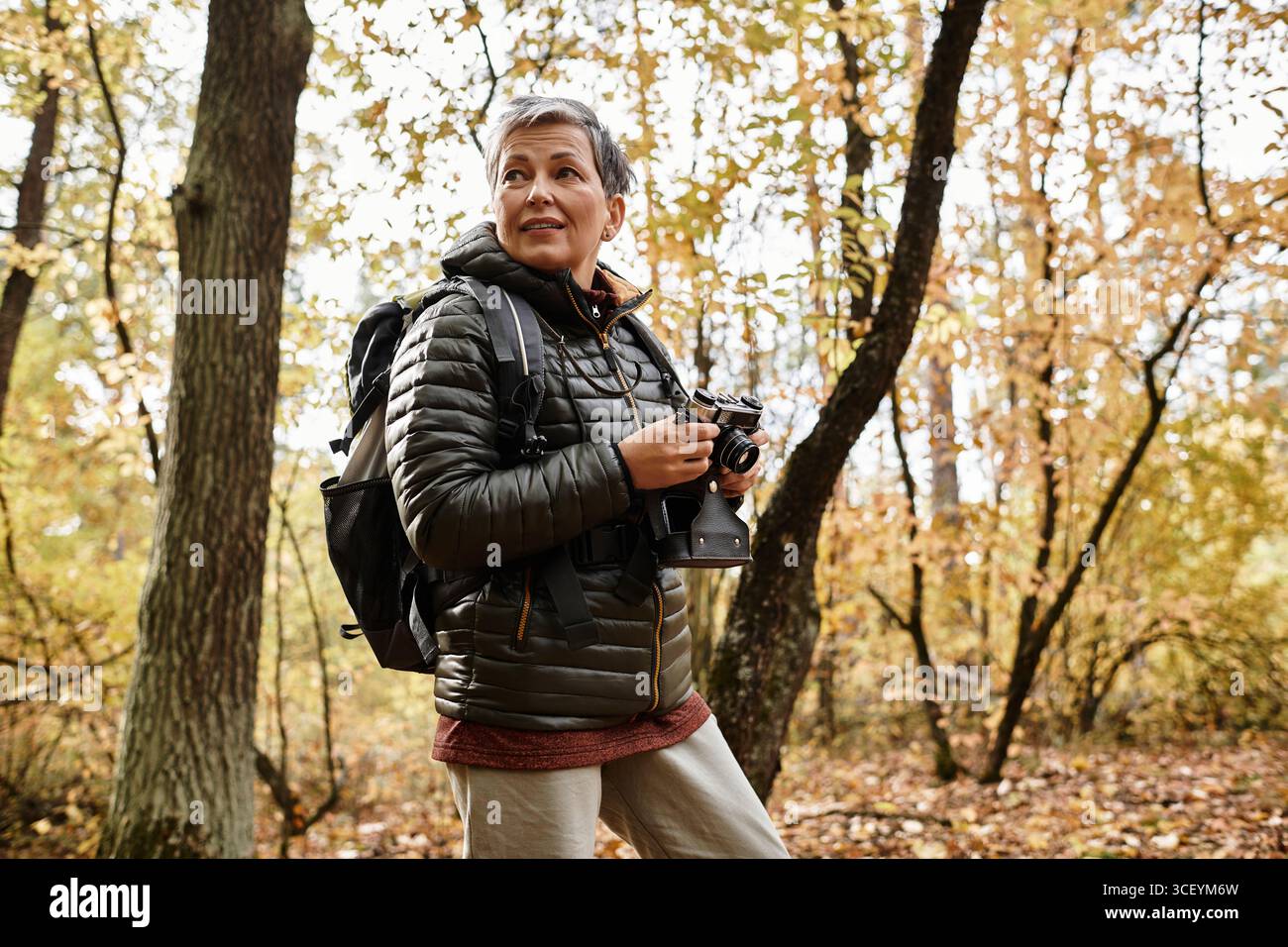 Une femme âgée profite d'une randonnée paisible dans une forêt colorée, prenant des photos de ses environs. Banque D'Images