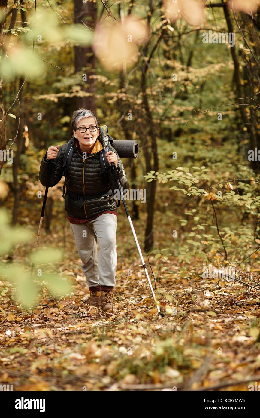 Femme senior aime la randonnée dans une forêt animée entourée par les riches couleurs du feuillage d'automne. Banque D'Images