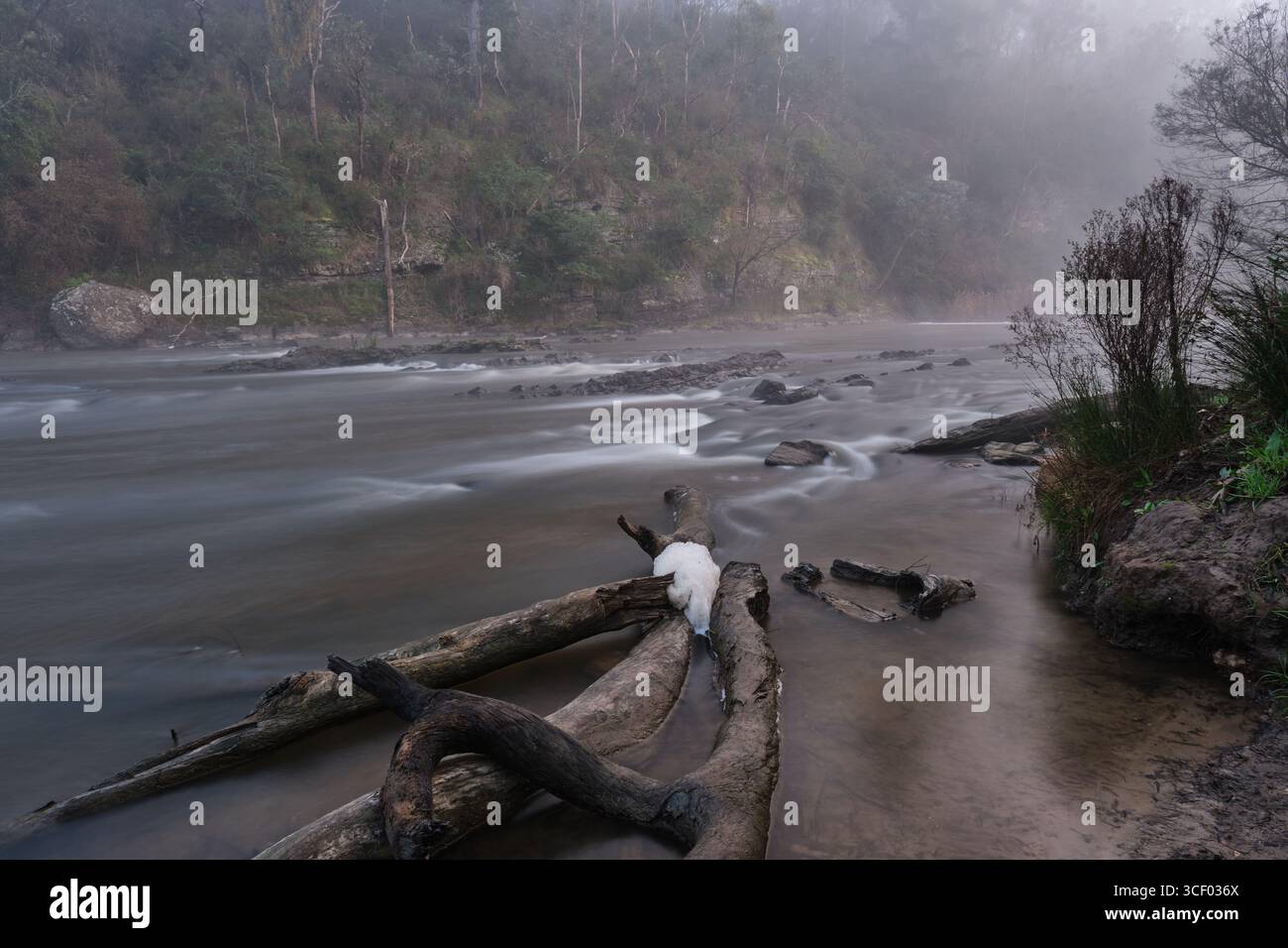 Brume sur le Yarra Banque D'Images