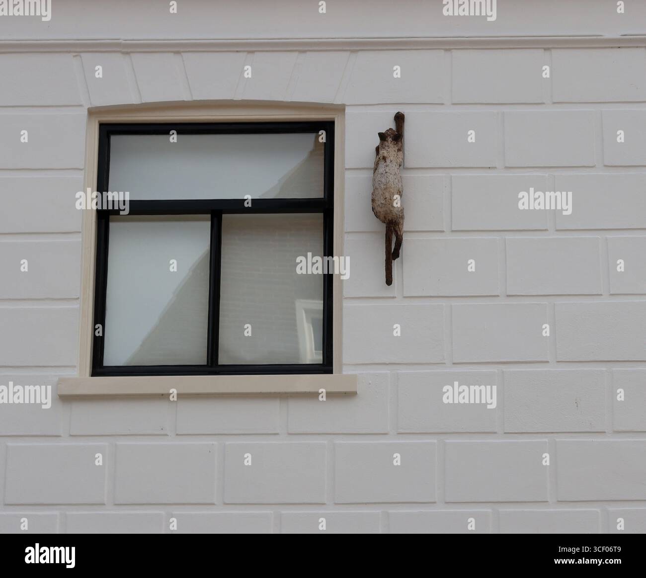 Fenêtre avec cadre noir sur mur de briques blanches avec une figure de chat sur un mur Banque D'Images