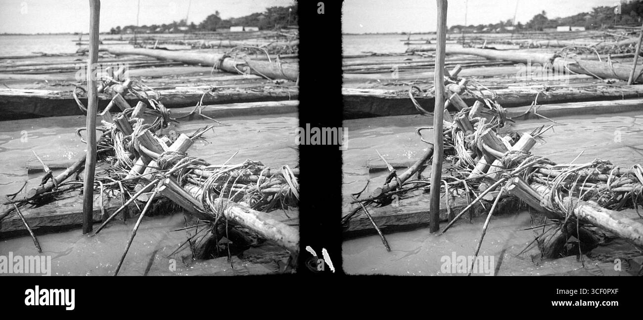 Cette image stéréoscopique de 1946-1947 montre des radeaux en bois utilisés pour faire flotter le bois de fonderie, une pratique courante dans l'industrie du transport du bois au Suriname au milieu du XXe siècle. Banque D'Images