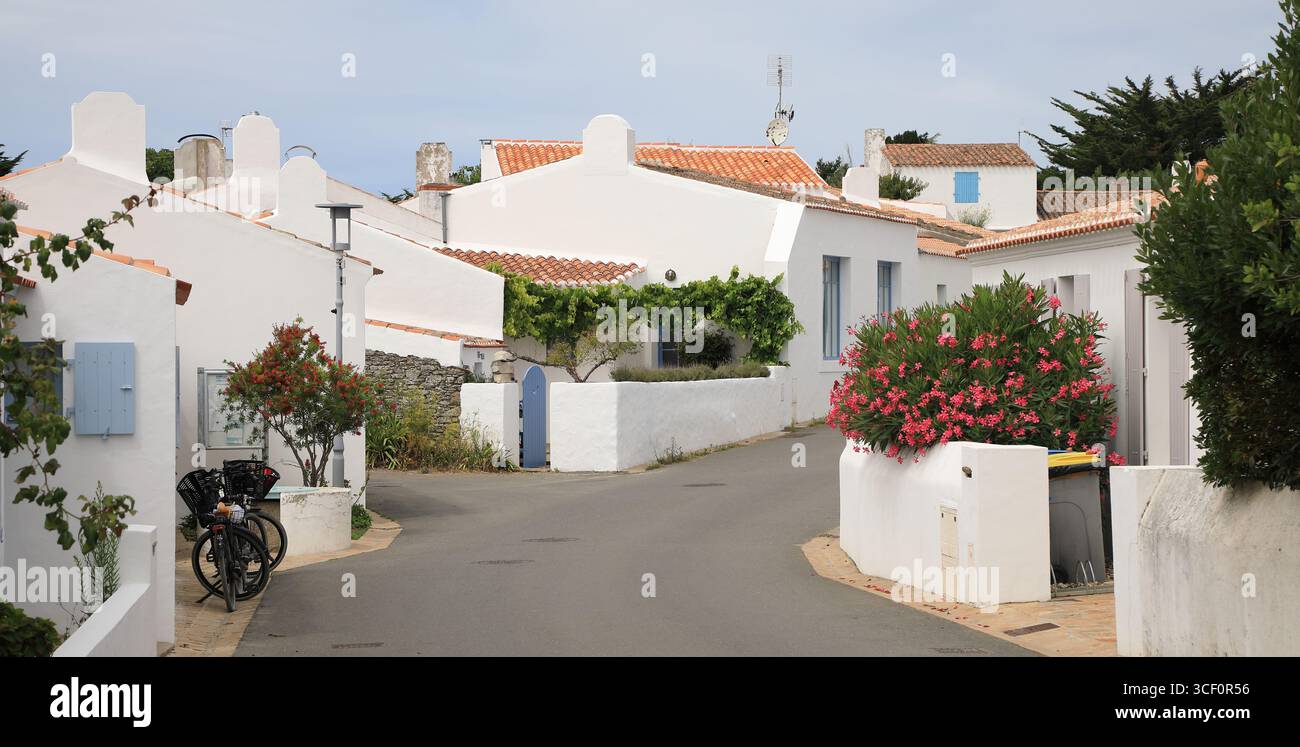 Rue typique de l'île française d'Yeu avec des maisons blanches et des volets colorés Banque D'Images Rue typique de l'île française d'Yeu avec des maisons blanches et des volets colorés Banque D'Images