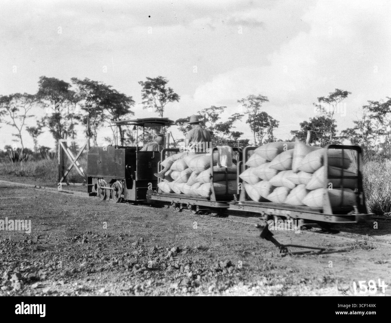 Le chemin de fer de campagne R. Dolberg AG à Cuemba, Angola, utilisé dans une expédition africaine entre 1931 et 1932. Cette image, prise par un photographe inconnu, représente le chemin de fer et son fonctionnement lors de l'expédition menée par Hans Schomburgk. Banque D'Images