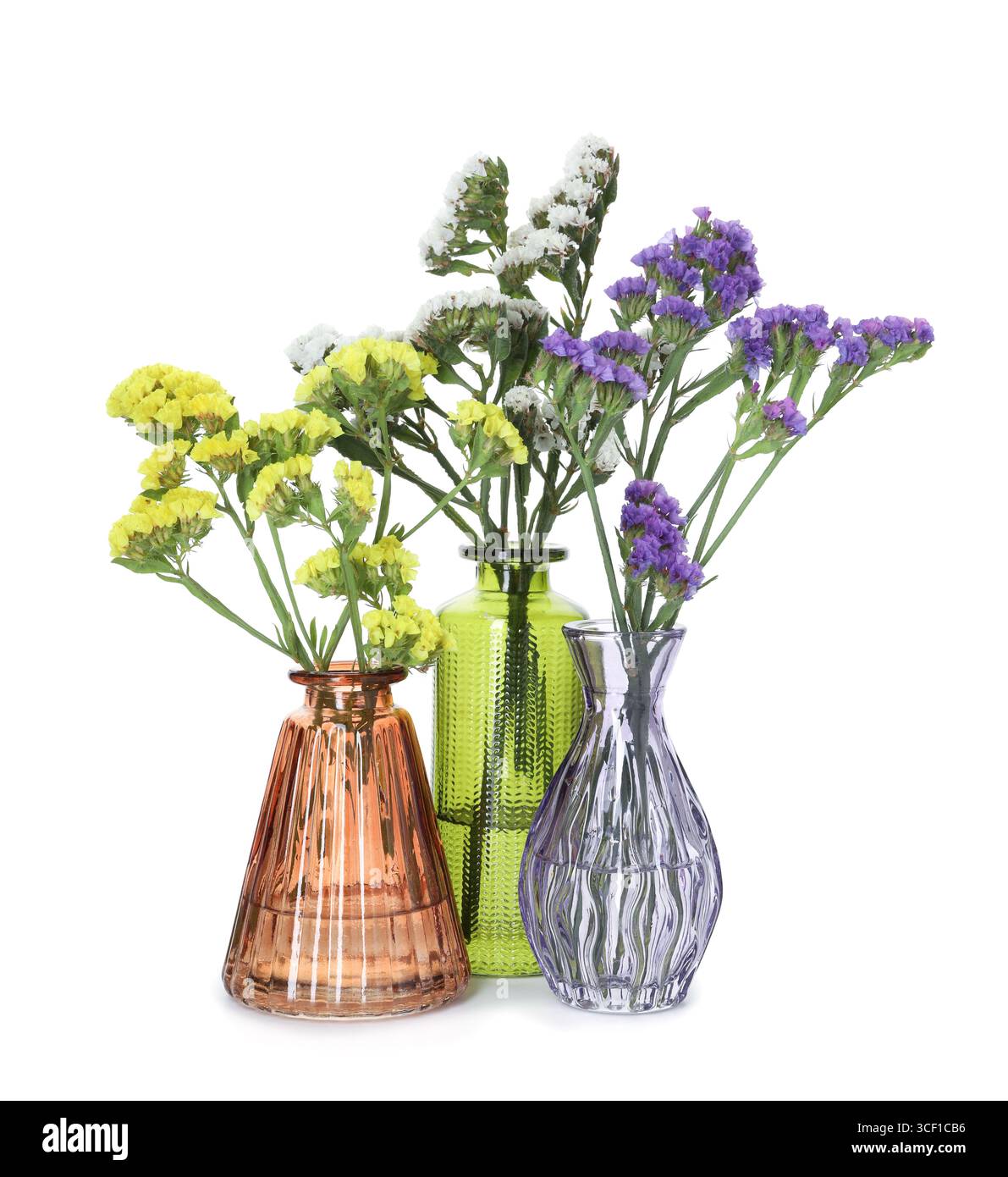 Différentes belles fleurs dans des vases en verre isolés sur blanc Banque D'Images
