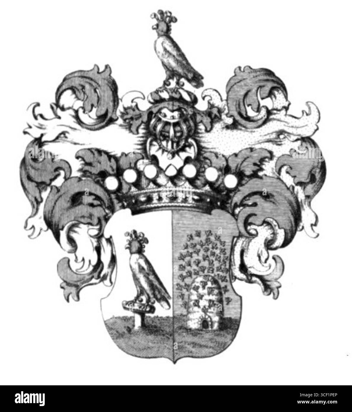 Les armoiries de la famille von Lachmann-Falkenau, datées de 1939, proviennent de Pologne. Banque D'Images