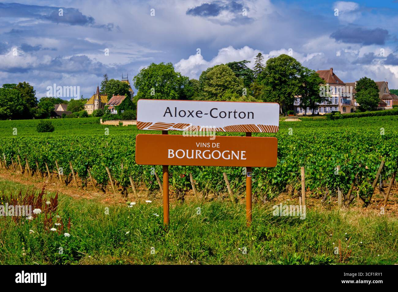 France, Côte-d'Or, paysage culturel des climats de Bourgogne inscrit au Patrimoine mondial de l'UNESCO, route des grands Crus de Bourgogne, vignoble de Banque D'Images