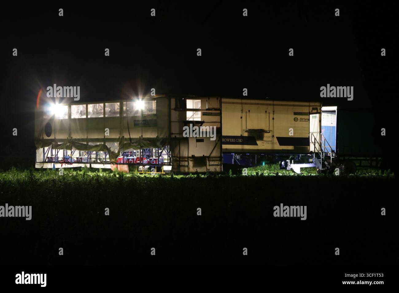 Machine de cueillette et d'emballage de laitue éclairée la nuit dans un champ. Banque D'Images