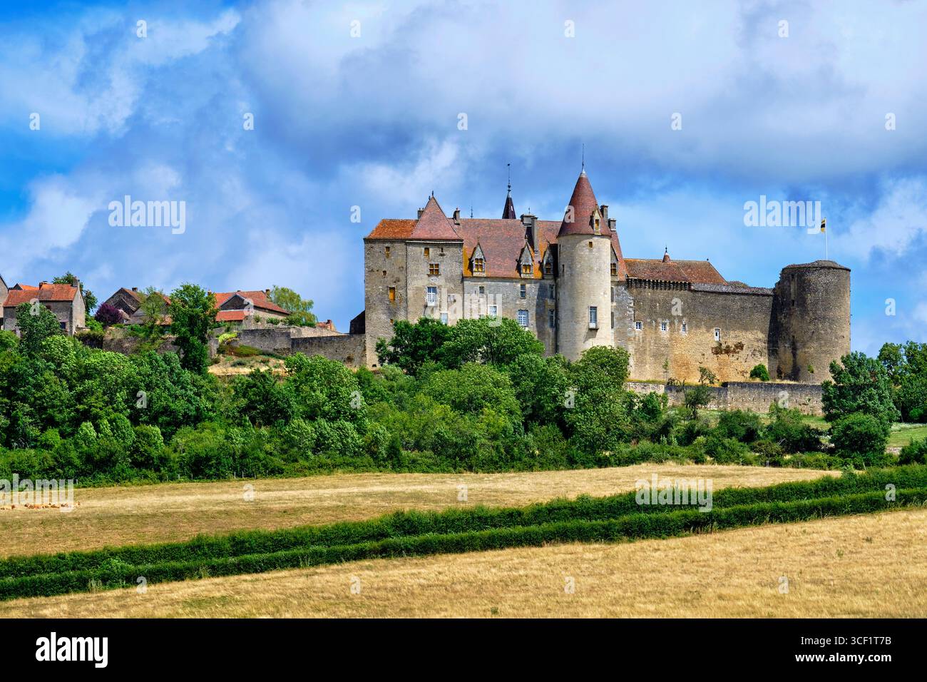 France, Côte d'Or, Châteauneuf-en-Auxois, labellisé l'un des plus beaux villages de France, vue générale du village avec le château Banque D'Images