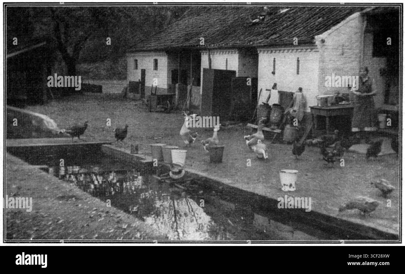 Une photographie de 1937 capturant un endroit idyllique près de Maalbeek-Hove à Belfeld. Le cadre paisible met en valeur la beauté naturelle de la région, avec des plans d'eau sereins et des paysages environnants. Banque D'Images