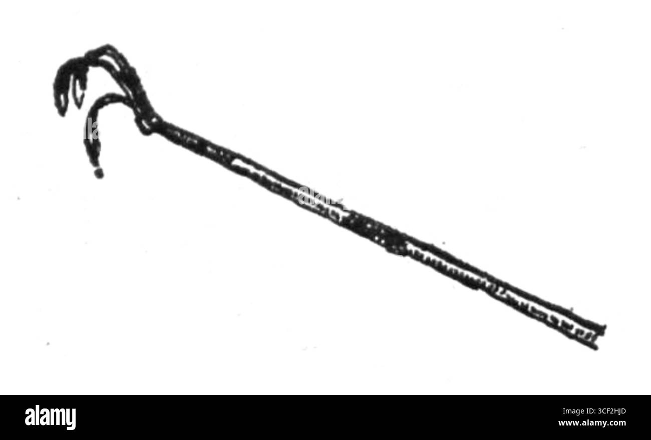 Une illustration de 1929 par Bronislaw Gaczyski, montrant un potager sur une parcelle de 200 mètres carrés. L'image fournit un exemple d'utilisation efficace de l'espace dans le jardinage à domicile. Banque D'Images