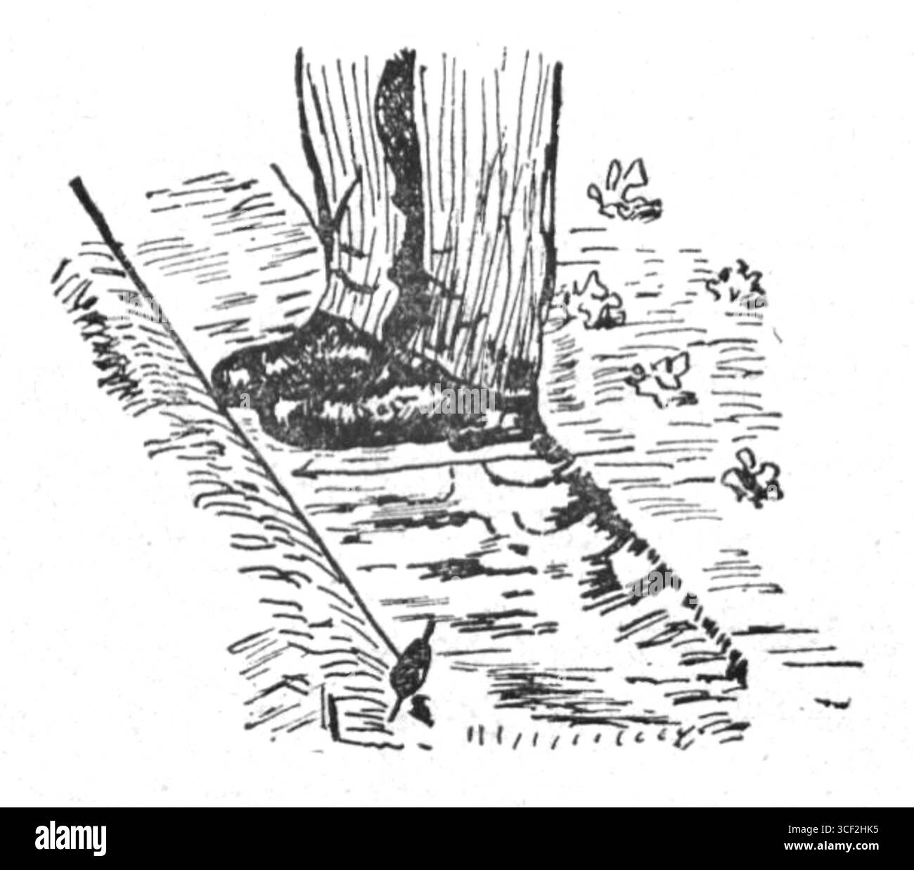 Illustration tirée du livre de 1929 'Ogród warzywny na dwustu metrach kwadratowych' de Bronislaw Gaczyski, présentant un jardin potager sur une parcelle de 200 mètres carrés. L'image reflète les techniques de jardinage du début du XXe siècle en Pologne. Banque D'Images