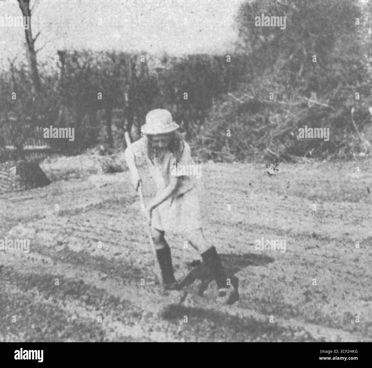 Une illustration de 1929 par Bronislaw Gaczyski tirée de son livre 'Ogród warzywny na dwustu metrach kwadratowych', montrant un jardin potager compact pour les espaces urbains. Banque D'Images