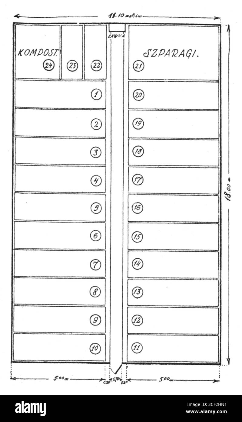 Une autre illustration tirée du livre de 1929 de Bronislaw Gaczyski, 'Ogród warzywny na dwustu metrach kwadratowych', représente un jardin potager organisé sur une surface de 200 mètres carrés, mettant l'accent sur des pratiques durables de jardinage domestique. Banque D'Images