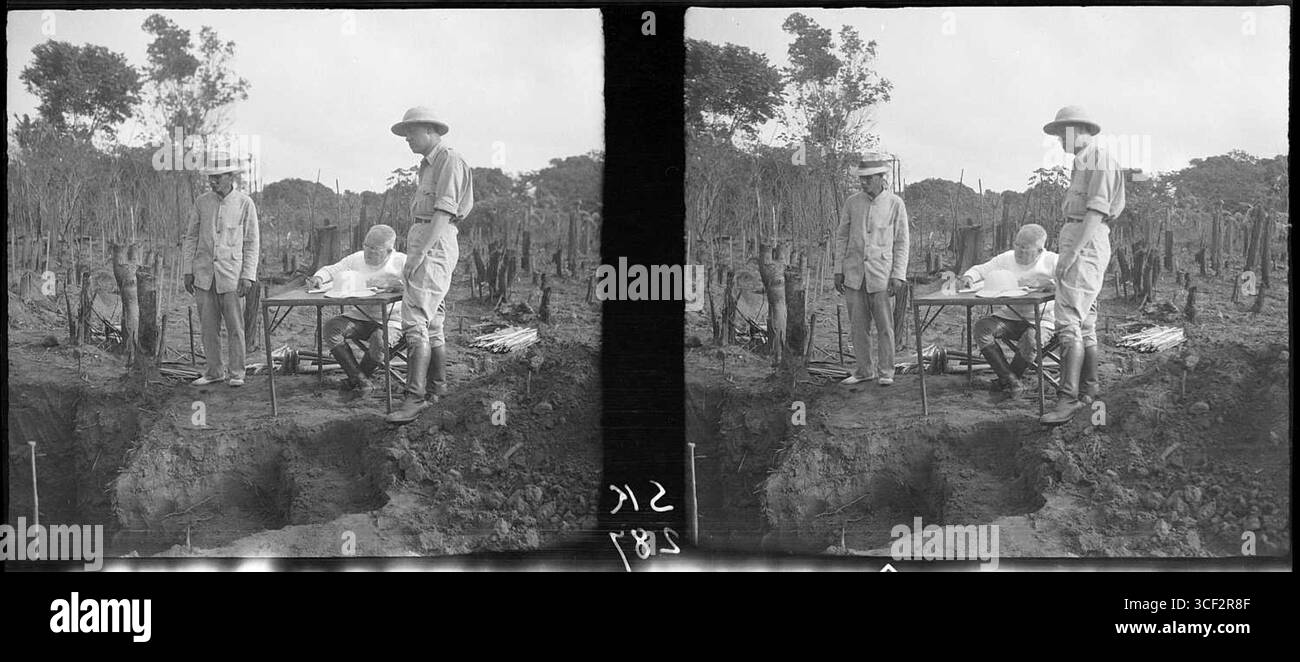 Une photographie stéréoscopique de 1940 montrant le professeur Stahel esquissant la disposition des tunnels à l'intérieur d'un nid de fourmis parasol. Cette recherche contribue à la compréhension des structures des colonies de fourmis. Banque D'Images