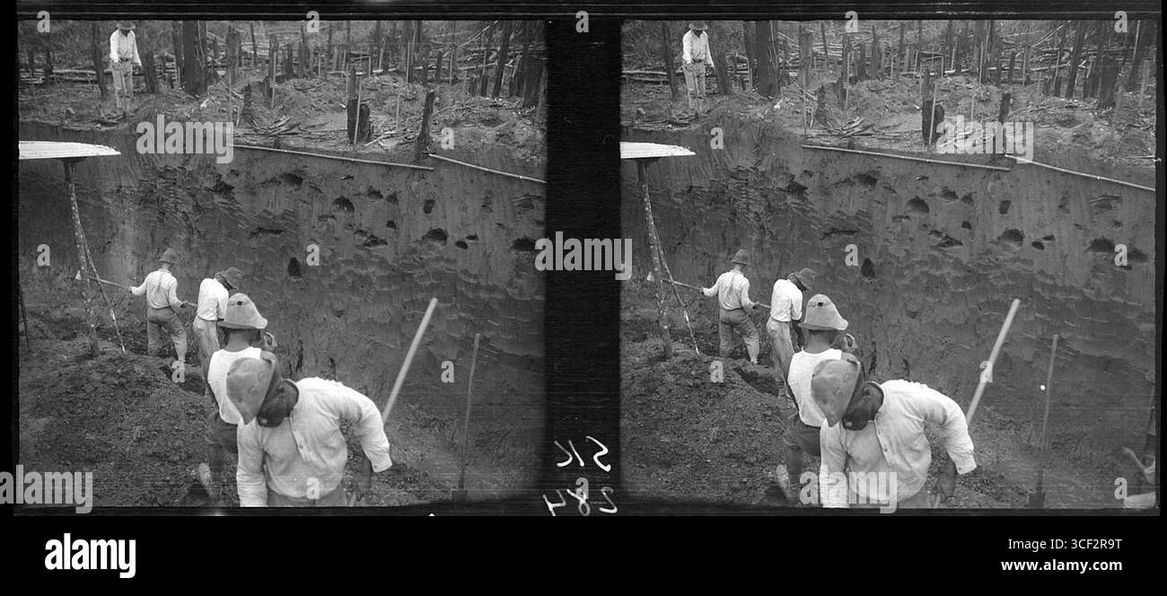 Cette image stéréoscopique de 1940 représente l'excavation d'un nid de fourmis parasol. Les fourmis parasol sont connues pour leur comportement distinct et leurs grands nids souterrains. Banque D'Images
