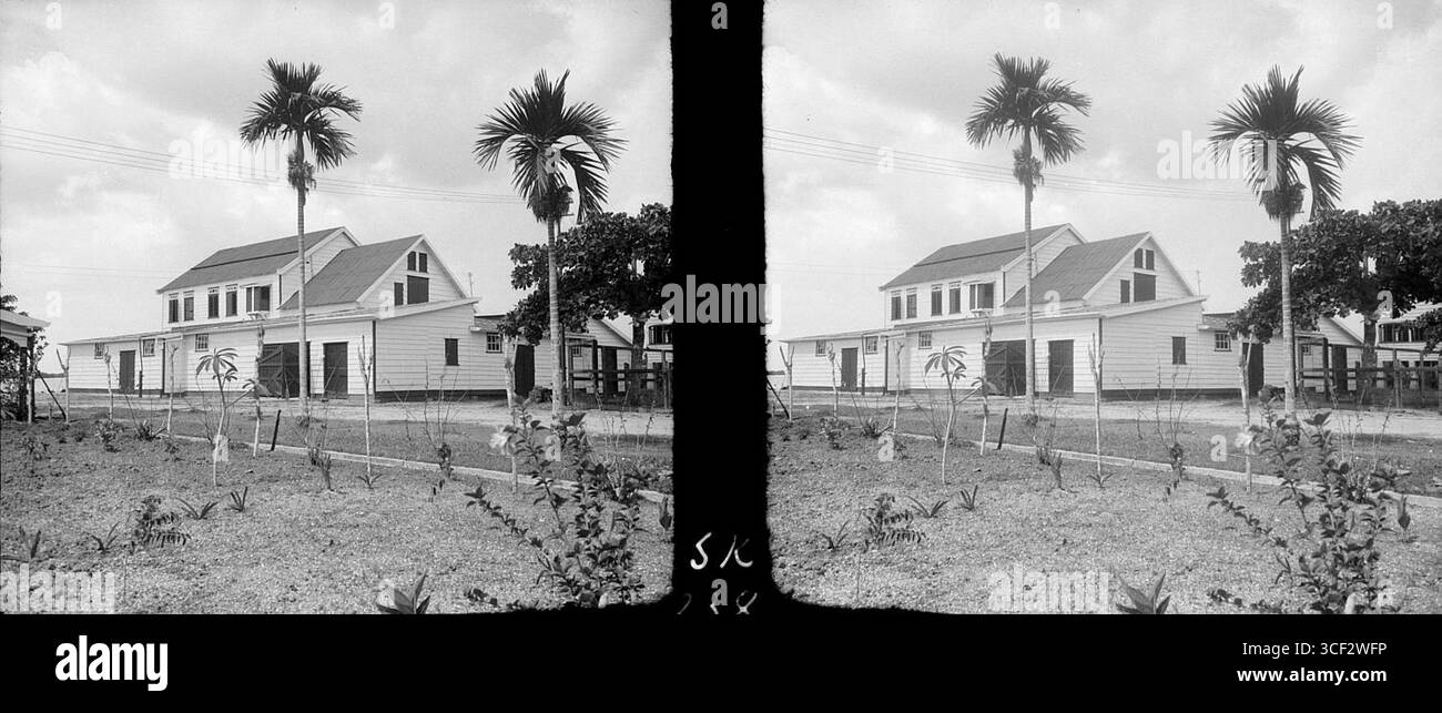 Une image stéréoscopique de 1940 représentant un hangar d'emballage orange, montrant les installations utilisées pour emballer les oranges pour la distribution au début du XXe siècle. Banque D'Images