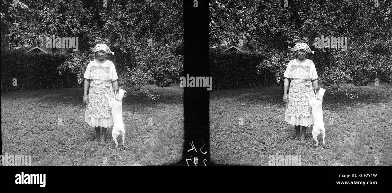Cette photographie stéréoscopique de 1940 représente Lena, une servante créole employée par le professeur Stahel. La photographie la capture dans un cadre domestique, reflétant une perspective historique sur les rôles sociaux au cours de cette période. Les dimensions sont de 6 x 12,7 cm (2 3/8 x 5 po). Banque D'Images