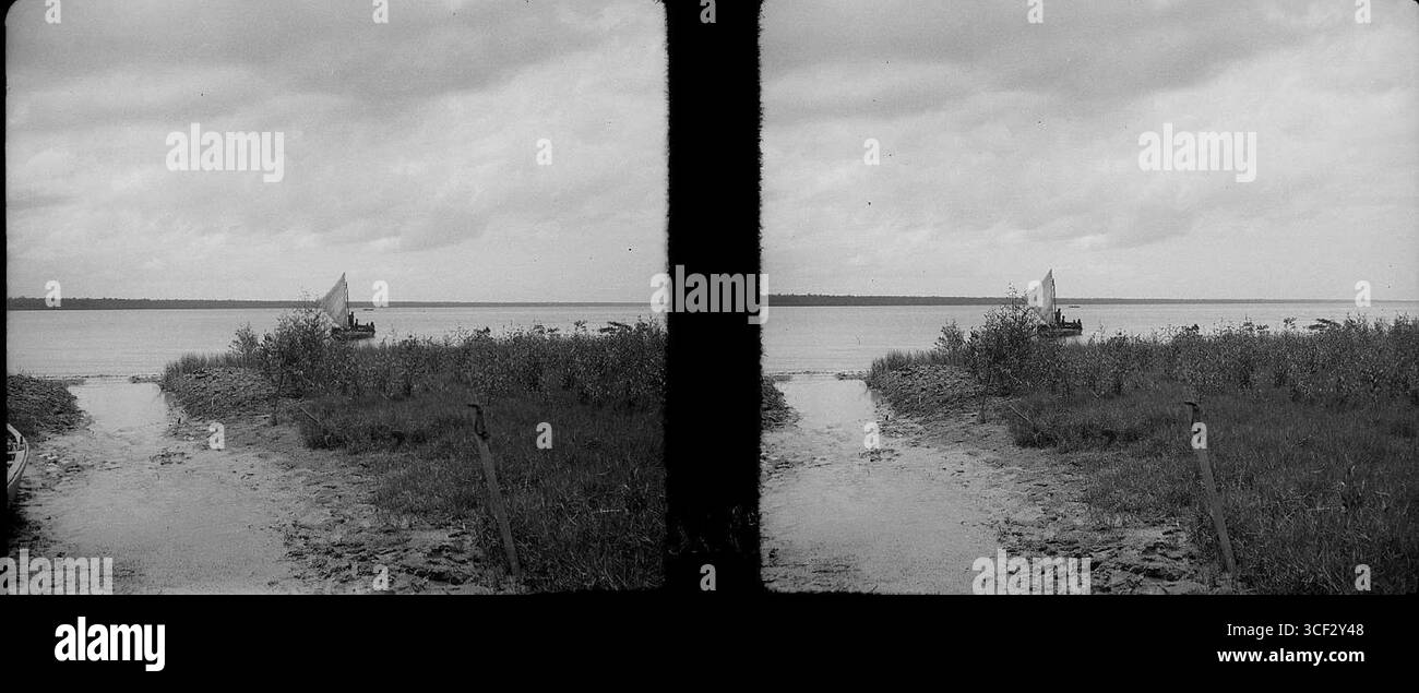 Cette photographie stéréoscopique de 1946-1947 capture l'arrivée d'un bateau de pêche, mettant en évidence un aspect de la vie maritime sur la rivière Saramacca au Suriname. L'image mesure 6 x 13,1 cm (2 3/8 x 5 3/16 po). Banque D'Images
