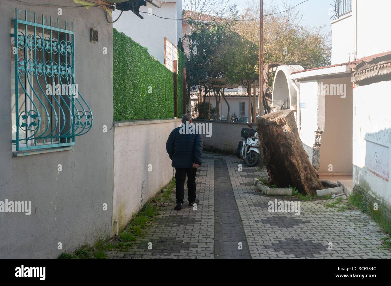 Homme marchant dans l'étroite ruelle urbaine avec mur vert et souche d'arbre de turquie Banque D'Images
