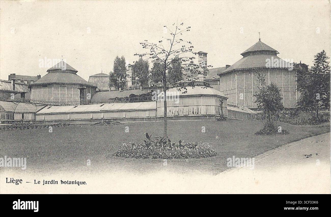 Une photographie des serres complètes du jardin botanique de Liège. Cette image du début du XXe siècle met en valeur la vaste collection d’espèces végétales et la beauté architecturale des serres. Banque D'Images