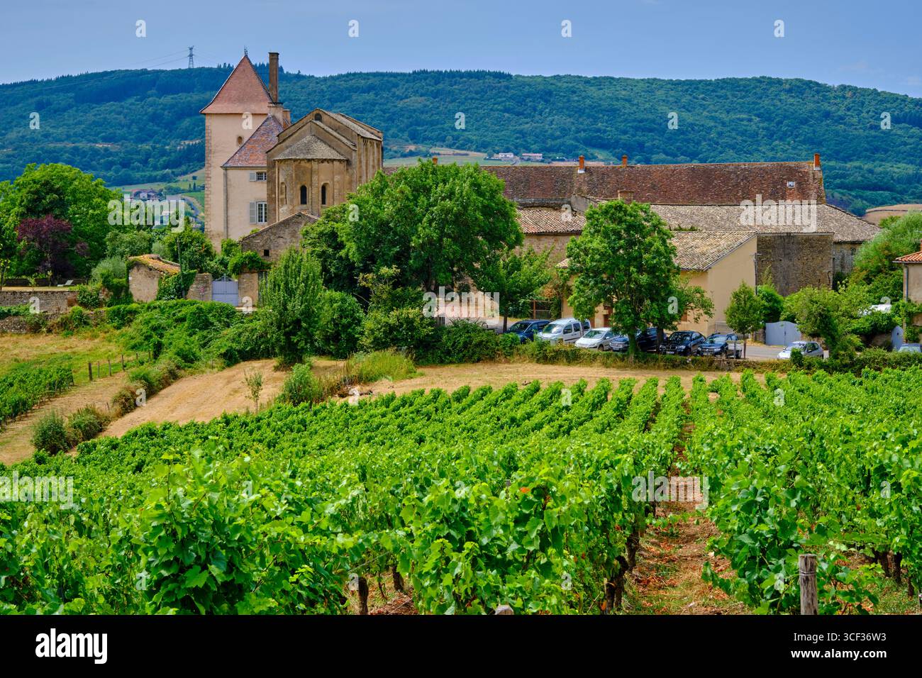France, Saône-et-Loire, Berzé-la-ville, la chapelle des moines de Berzé-la-ville près de Cluny Banque D'Images