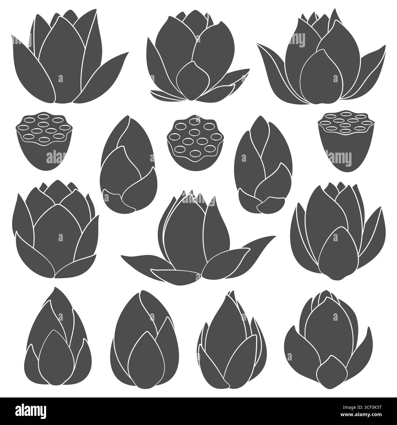Ensemble d'illustrations en noir et blanc avec nénuphar, lotus. Objets vectoriels isolés sur fond blanc. Illustration de Vecteur