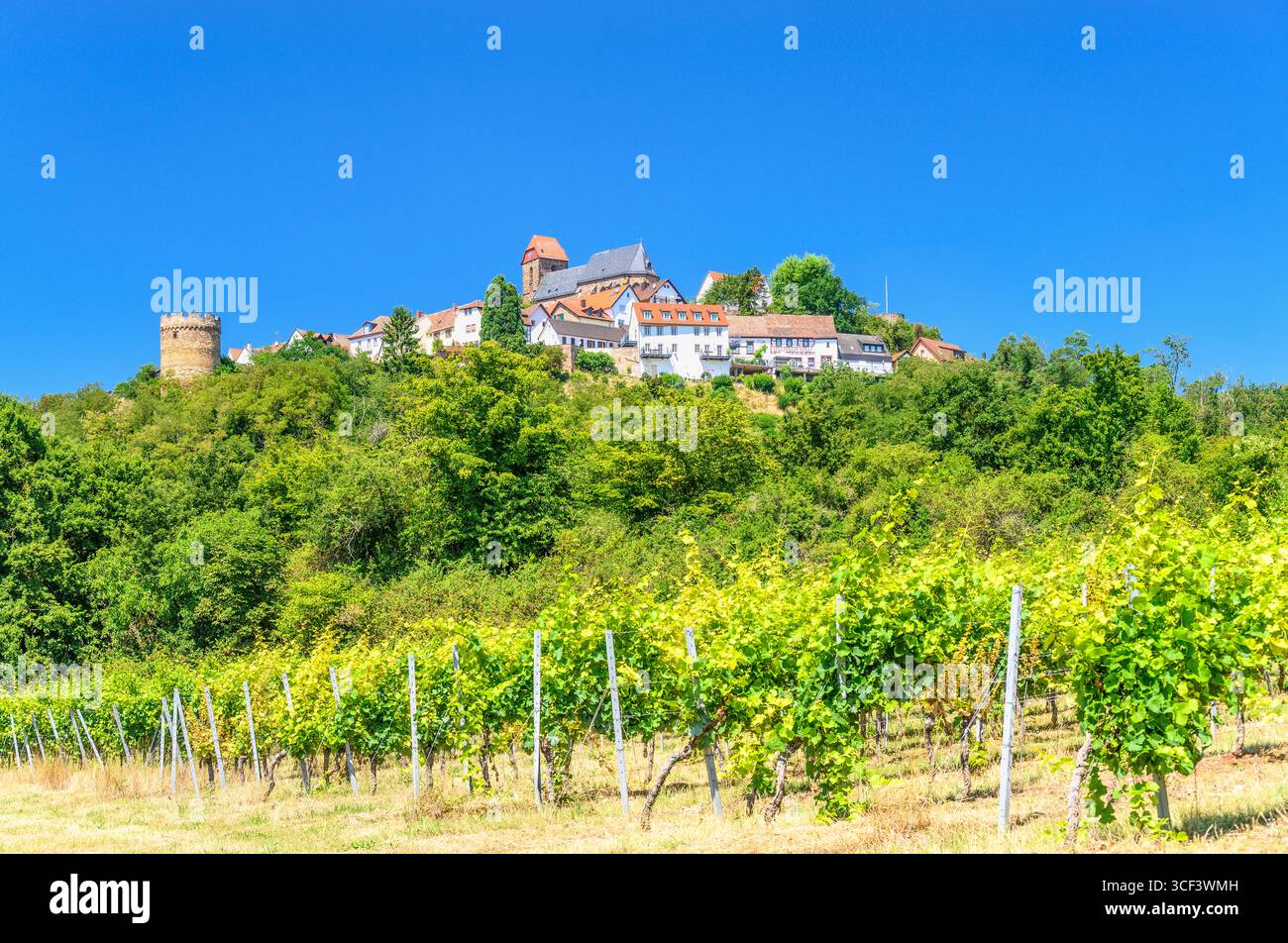 Allemagne, Rhénanie-Palatinat, Palatinat, Neuleiningen, vue depuis Kleinkarlbach Banque D'Images