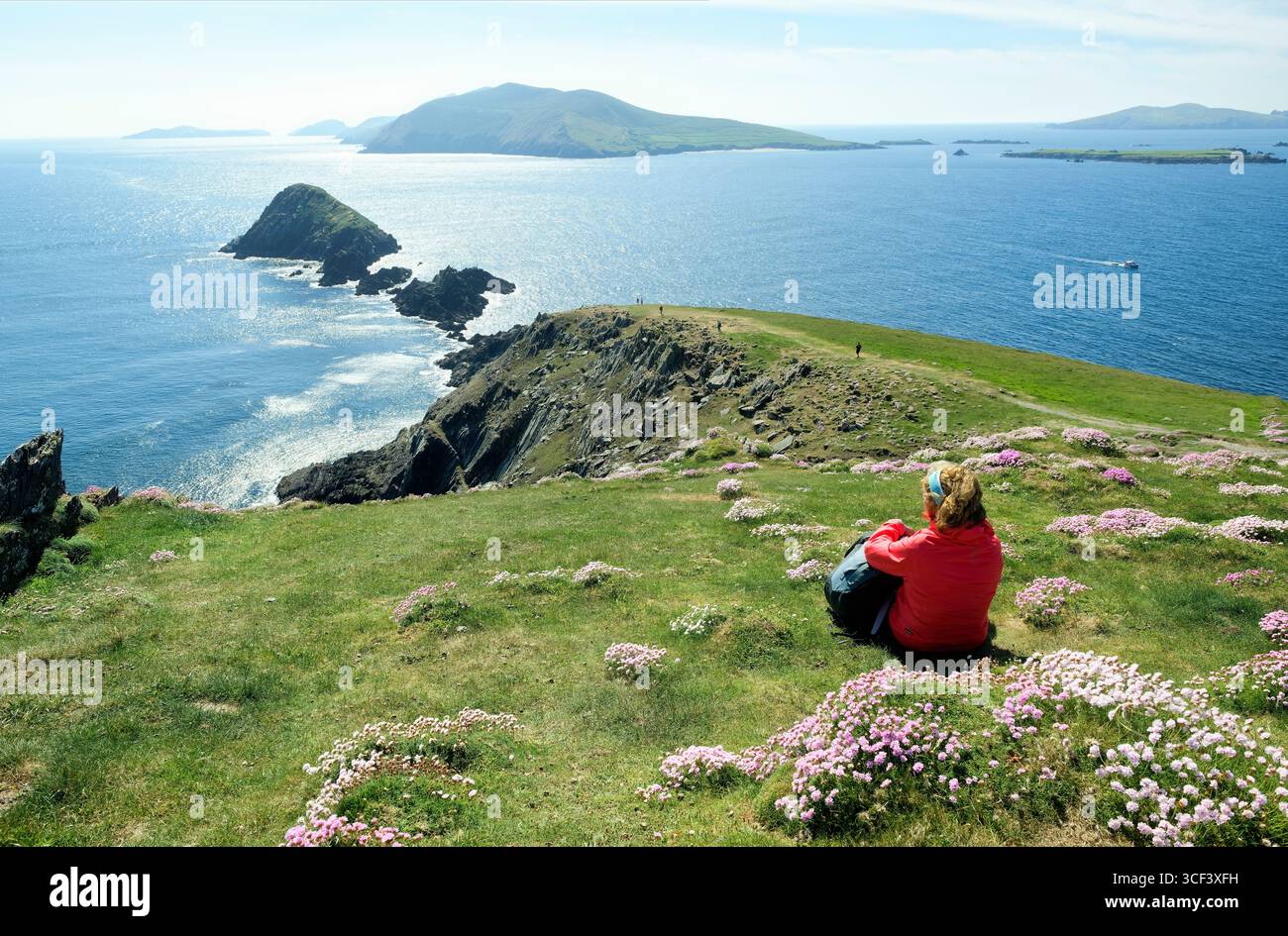 Vue du paysage côtier à Slea Head Drive, péninsule de Dingle, péninsule, Wild Atlantic Way, Province de Munster, comté de Kerry, Irlande Banque D'Images