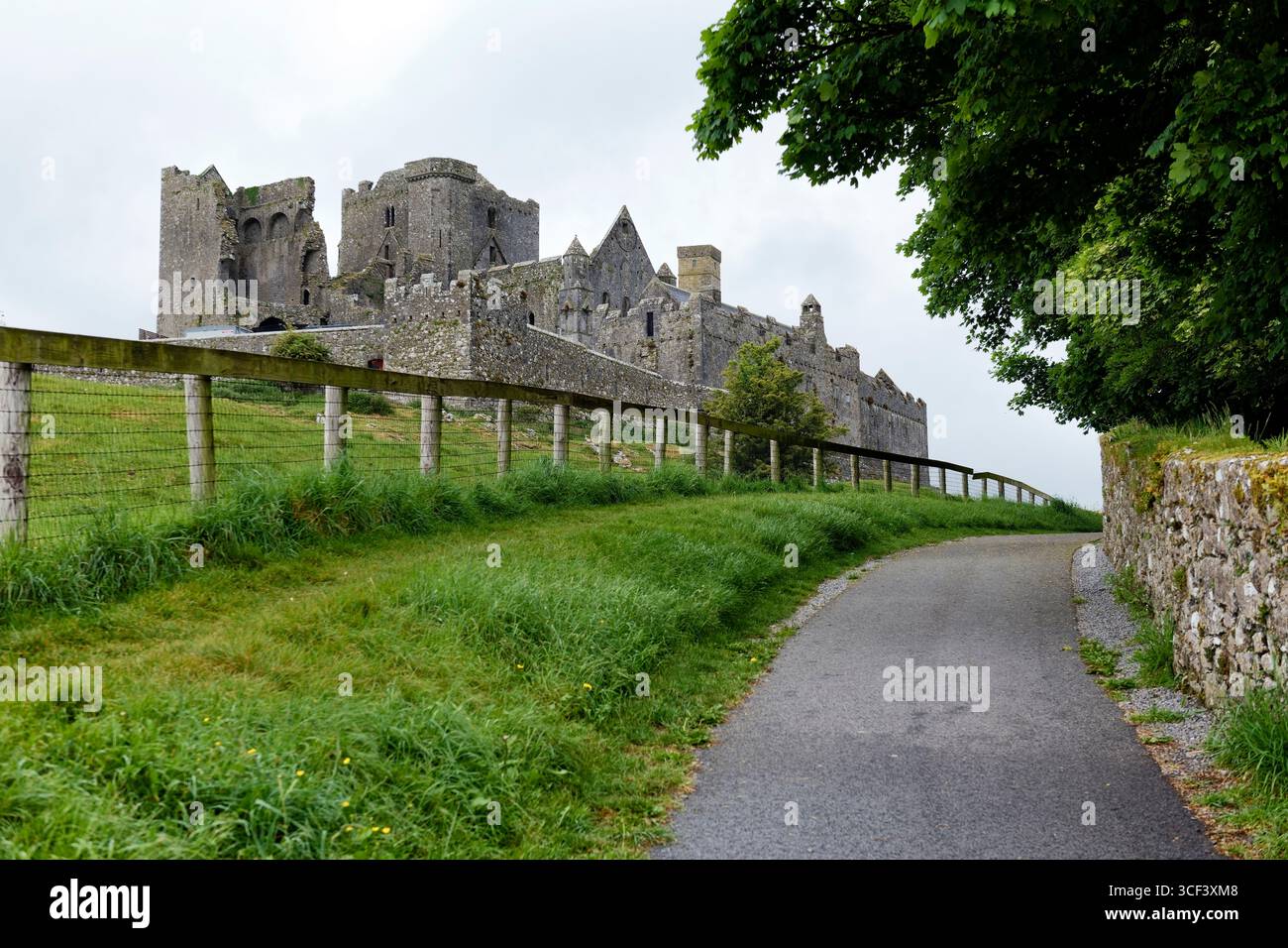 Rocher de Cashel, château de Cashel, Cashel, province de Leinster, comté de Tipperary, Irlande Banque D'Images