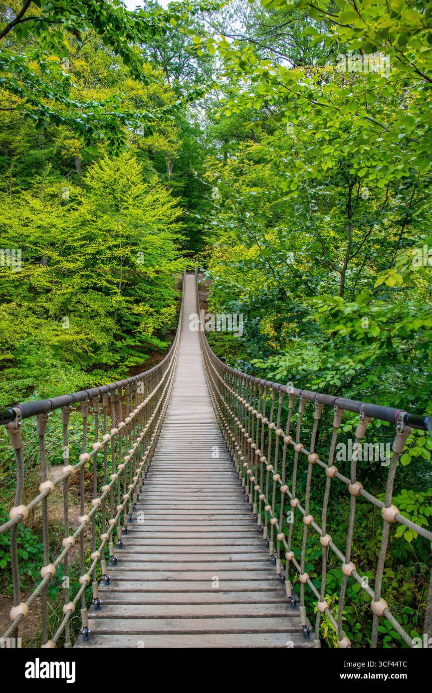 Pont suspendu en bois sur une gorge, belle nature et arbres dans la forêt allemande Banque D'Images
