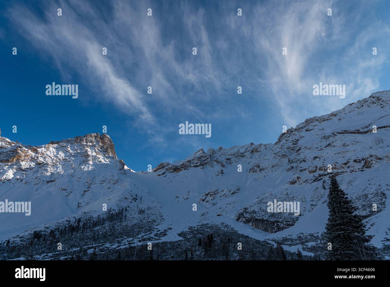 Le Parc naturel de Fanes-sennes-Braies est un parc régional situé dans les Dolomites du Tyrol du Sud. Le parc naturel s'étend à travers les parties tyroliennes du Sud des Dolomites de Braies et du Groupe Fanes. Banque D'Images