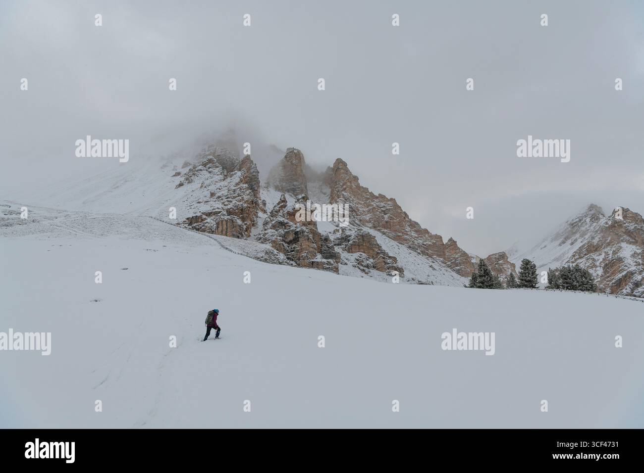 Le Parc naturel de Fanes-sennes-Braies est un parc régional situé dans les Dolomites du Tyrol du Sud. Le parc naturel s'étend à travers les parties tyroliennes du Sud des Dolomites de Braies et du Groupe Fanes. Banque D'Images